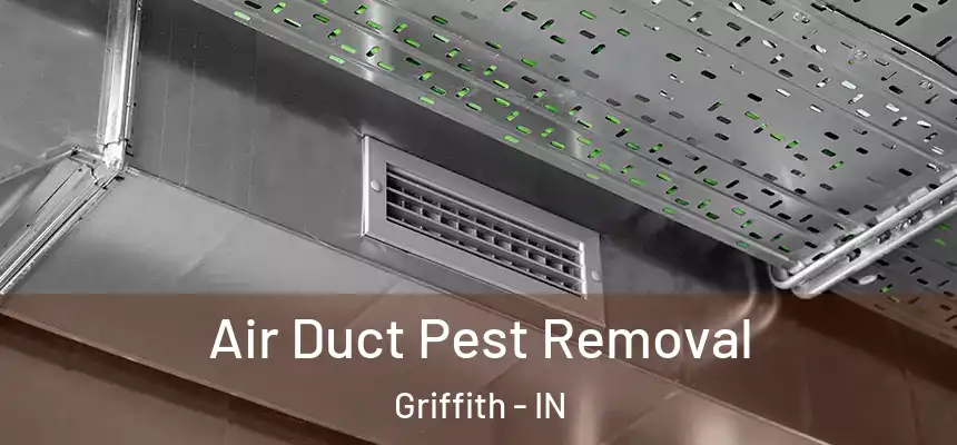  Air Duct Pest Removal Griffith - IN