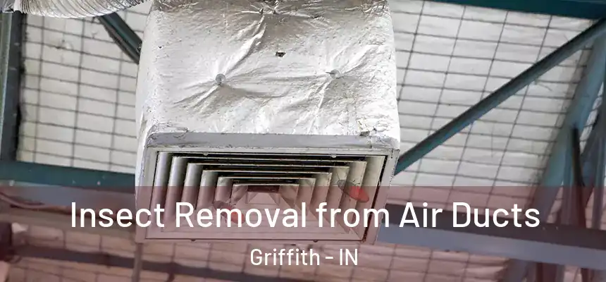  Insect Removal from Air Ducts Griffith - IN