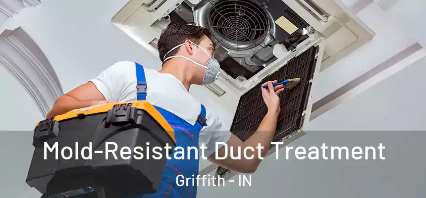 Mold-Resistant Duct Treatment Griffith - IN