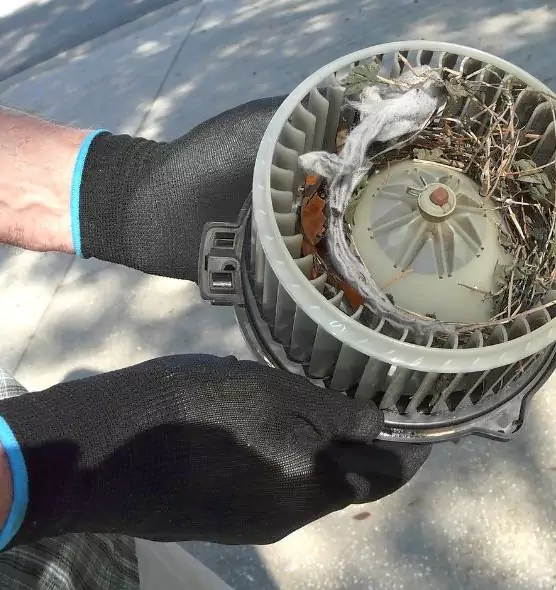 About Air Duct Rat Removal in Griffith, IN